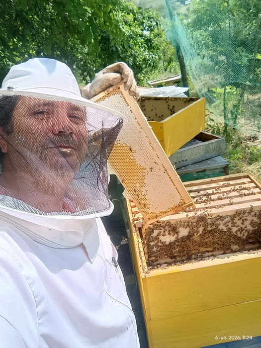 Miere de salcâm narturala