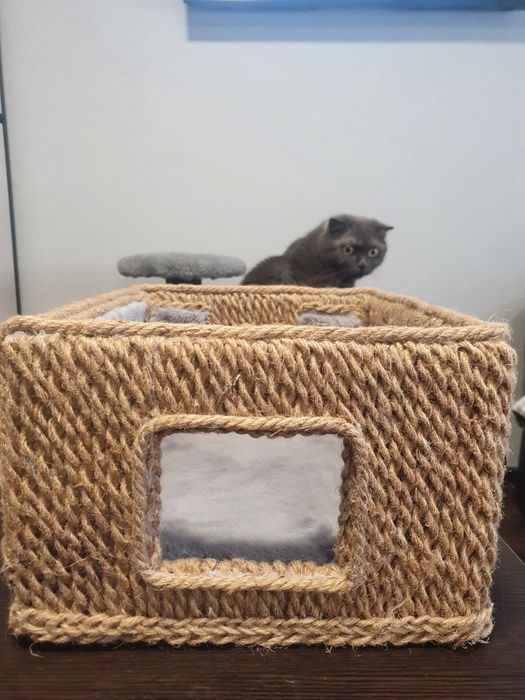 Домик для котика