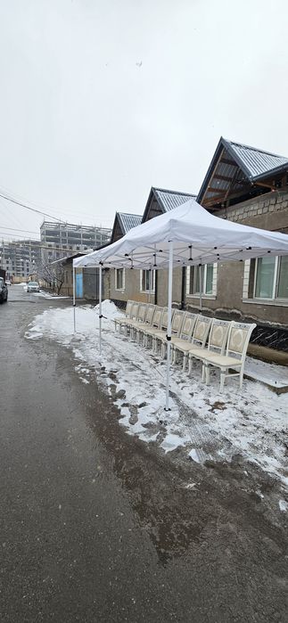 Prakat stol stul zontik 24/7 Аренда стол стул prokat stol stul shirma