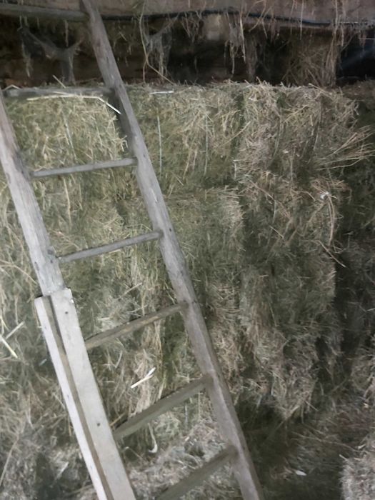 Vand baloti de otava dreptunghiulari