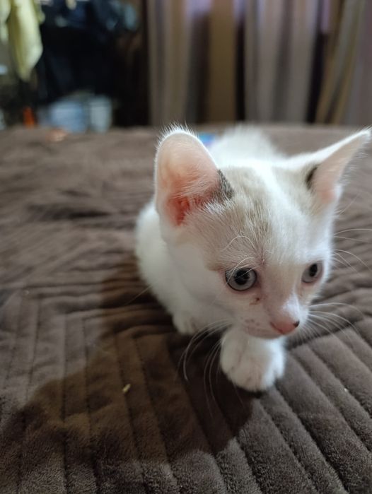 Девочка ищет свою семью