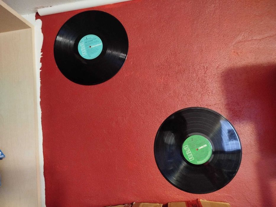 Pack 25 discuri vinil  LP - decorative