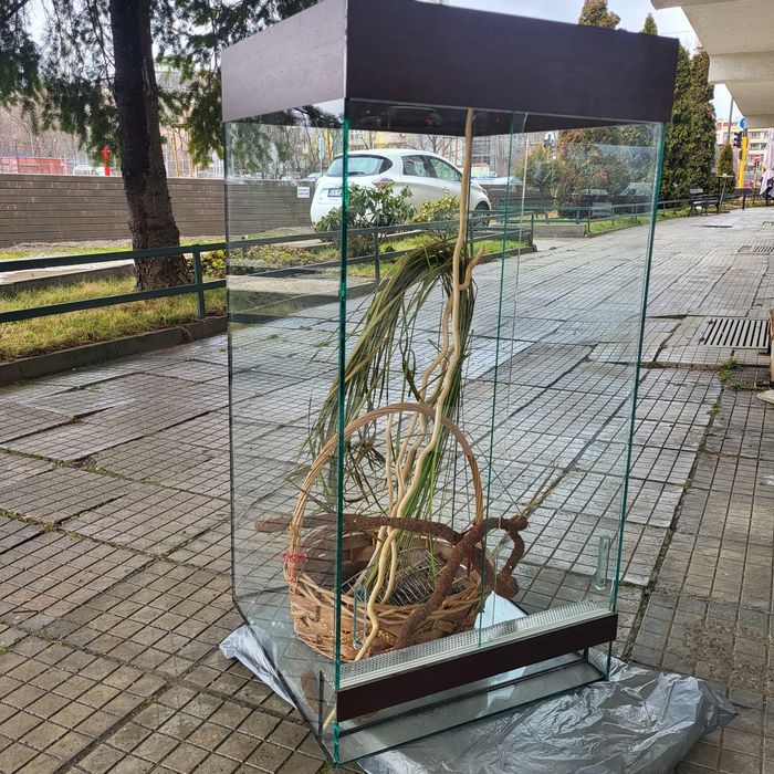 Терариум с мрежест таван и декорация