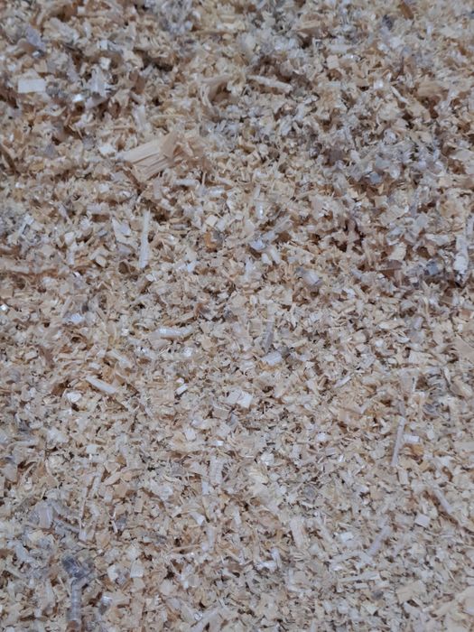 Апилка Бесплатно