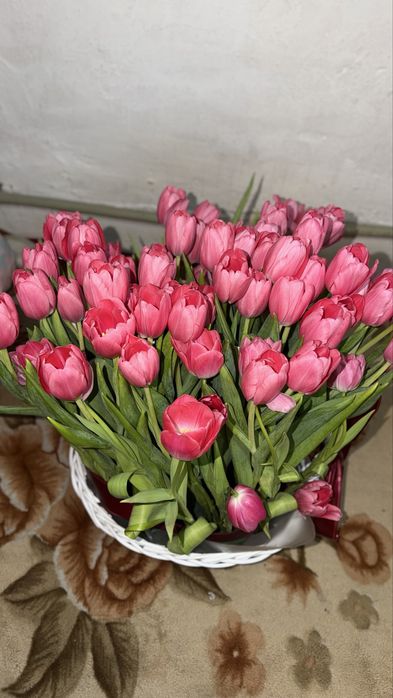 Продам цветы корзина тюльпанов