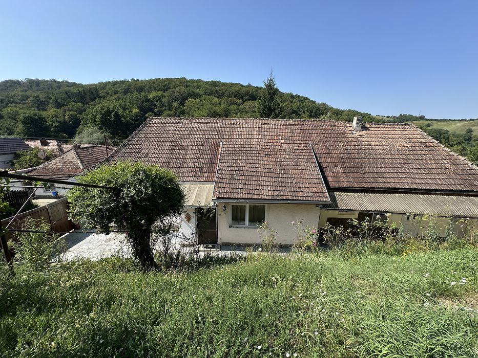 Casa saseasca cu: curte, teren, garaj, beci, pod, anexe Str.Caraiman29