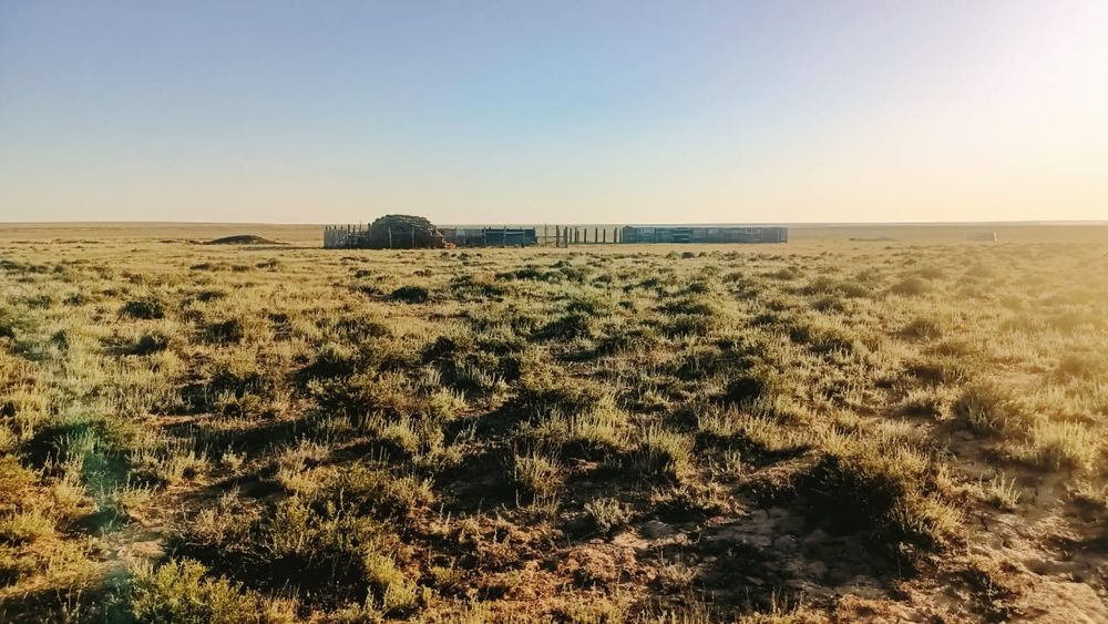 Продам хозяйства