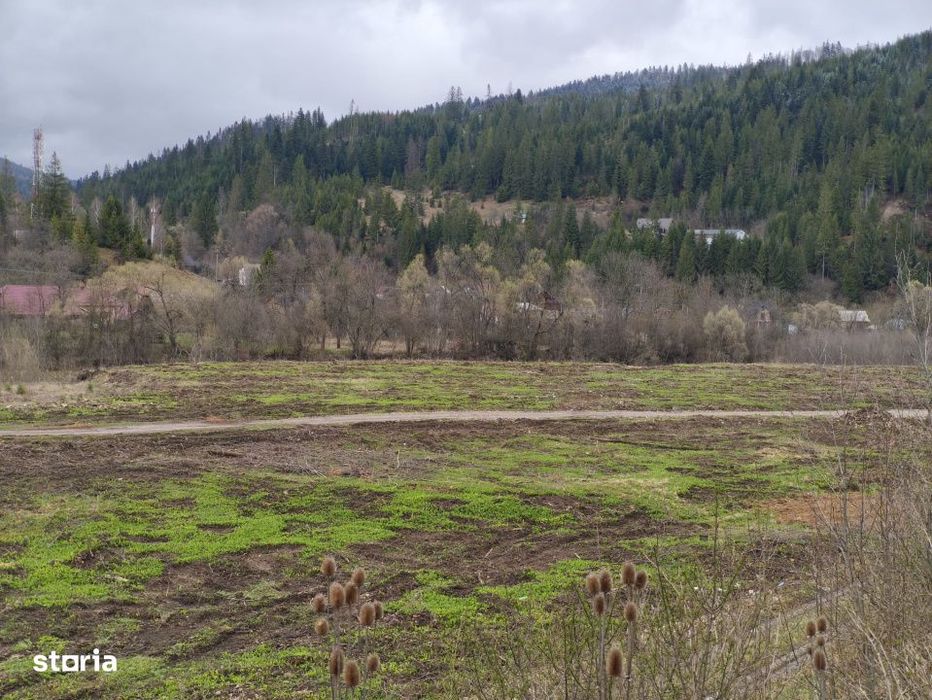 Teren intravilan, 22600mp, zona Manastirea Sucevita