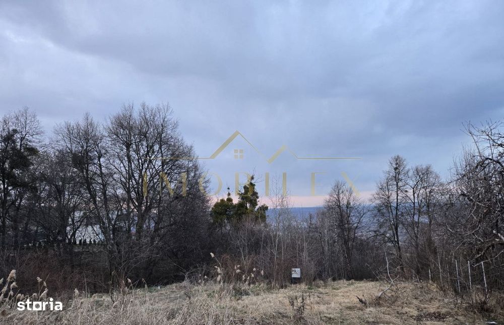 Teren in zona partiei de schi Feleacu