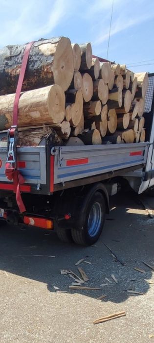 Vând lemne de foc fag