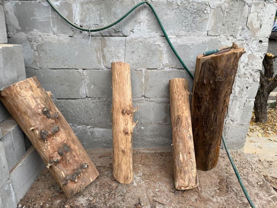 Продажа слэбов дерева