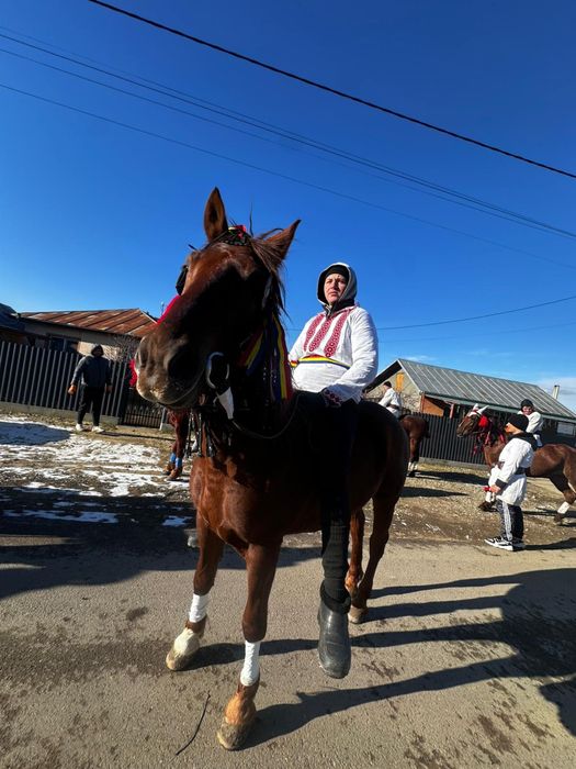 Vând iapă foarte cuminte