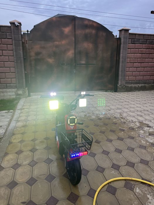 Т-Rex.
