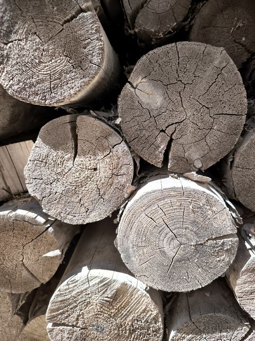 Дрова . Сруб хвойных пород.