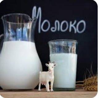 Ешкі сүті сатылады