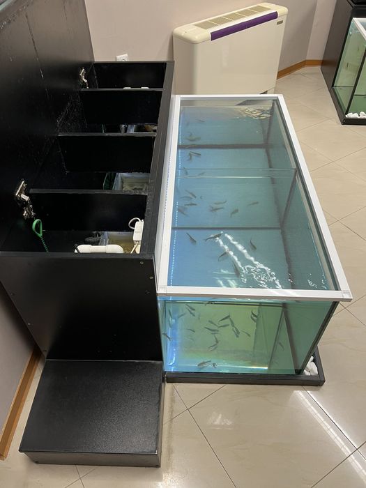 Оборудвани аквариуми за гара руфа