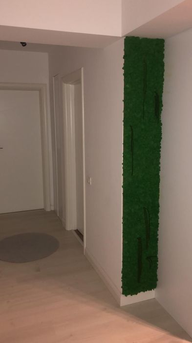 Decor licheni 30x200cm, 60x100cm