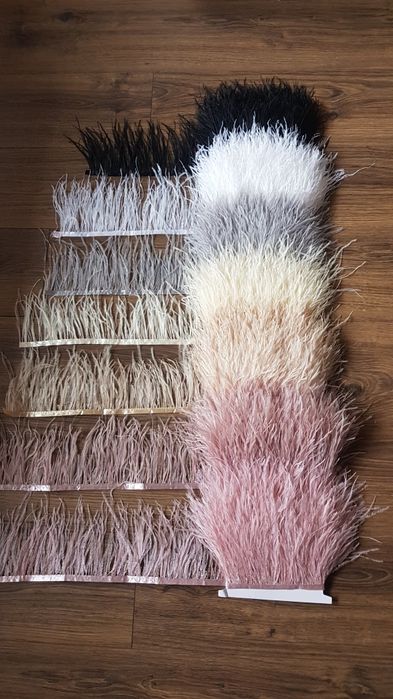 Щраусови пера на лента 10-15см.