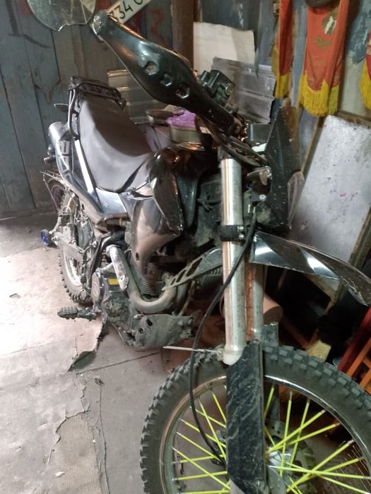 Rасеr pantera 300