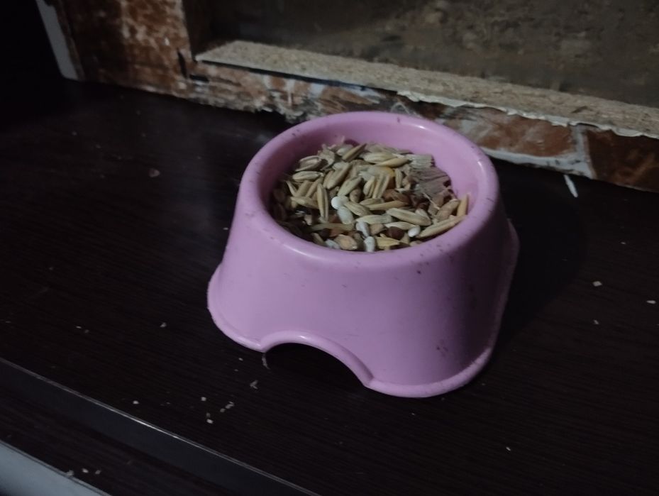 Поилка,Миска,Колесо