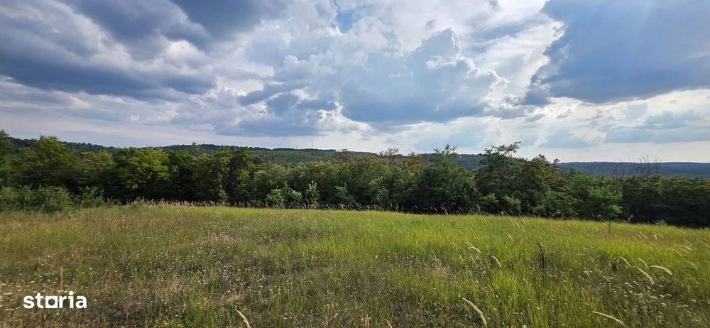 Teren Extravilan 9.528mp/ Vârciorog -Bihor / 30 km de Oradea