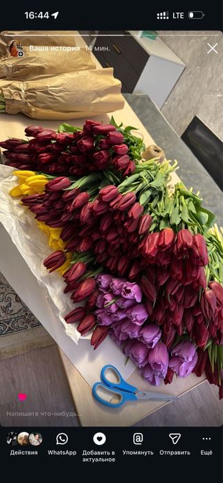 Тюльпаны 8 марта