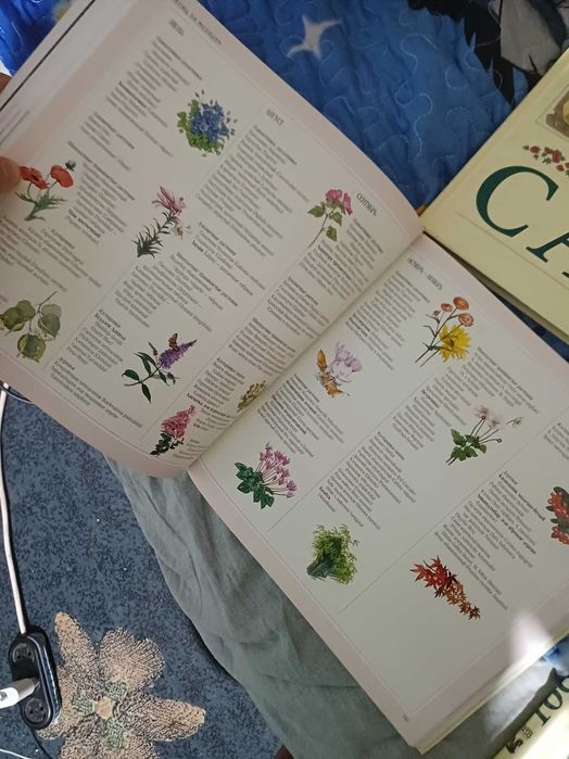 Книга 1000 советов и идей