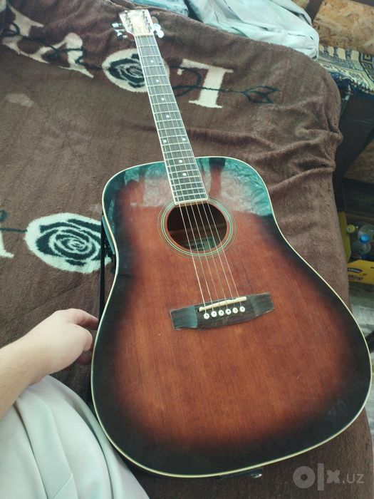 Ecolayzerli akustik gitara