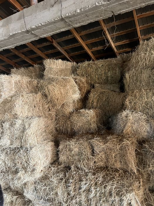 Прес, тюк бар сатылатын