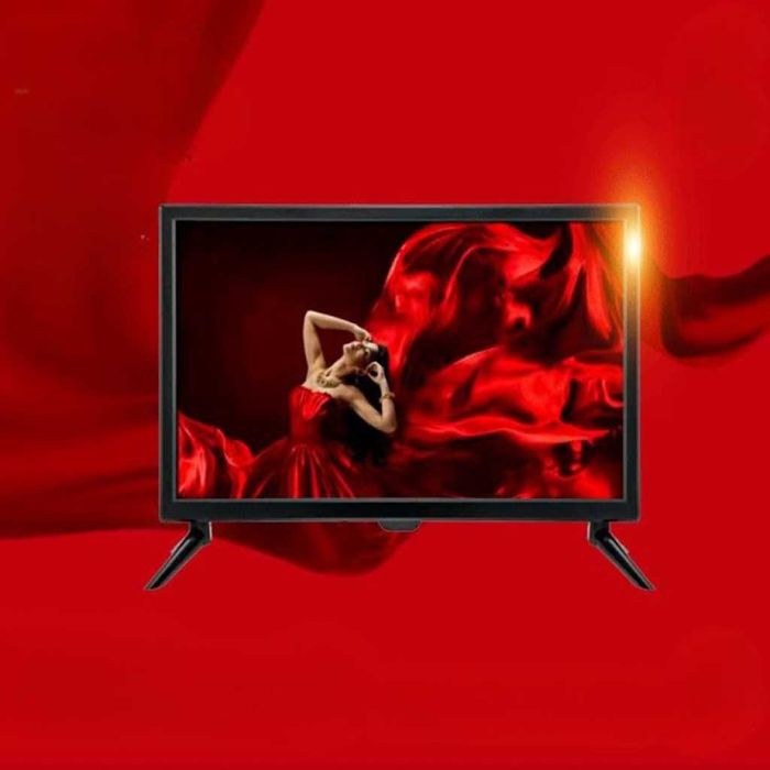 LED SMART телевизор DC/AC 19/22/24-за дом, кемпер, каравана, къмпинг