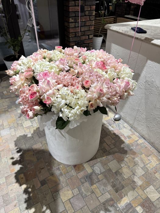 Прдаю цветы срочно