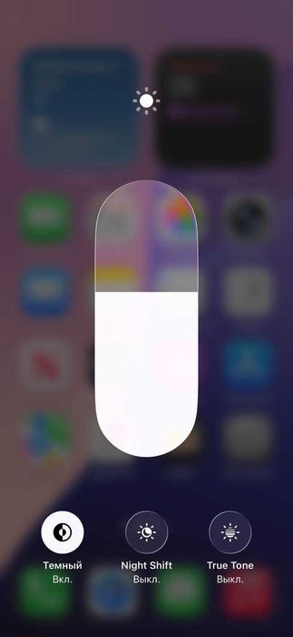 IPhone 11 Pro Max / 256 GB