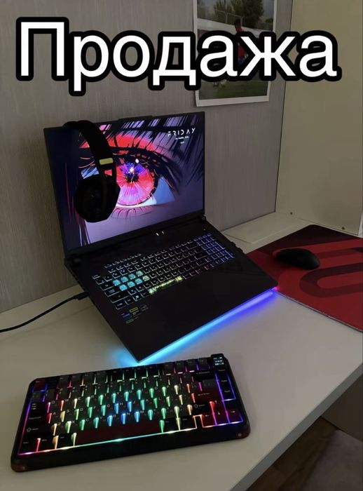 Hoyt Asus Rog Strix