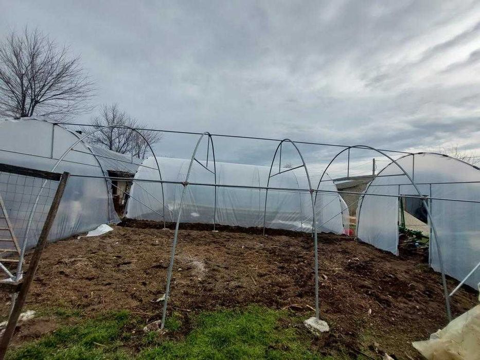 Solarii Legume - Solarii de Gradina - Transport Gratuit