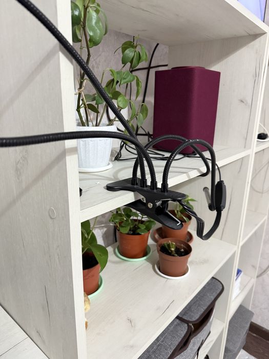 Продам полки две