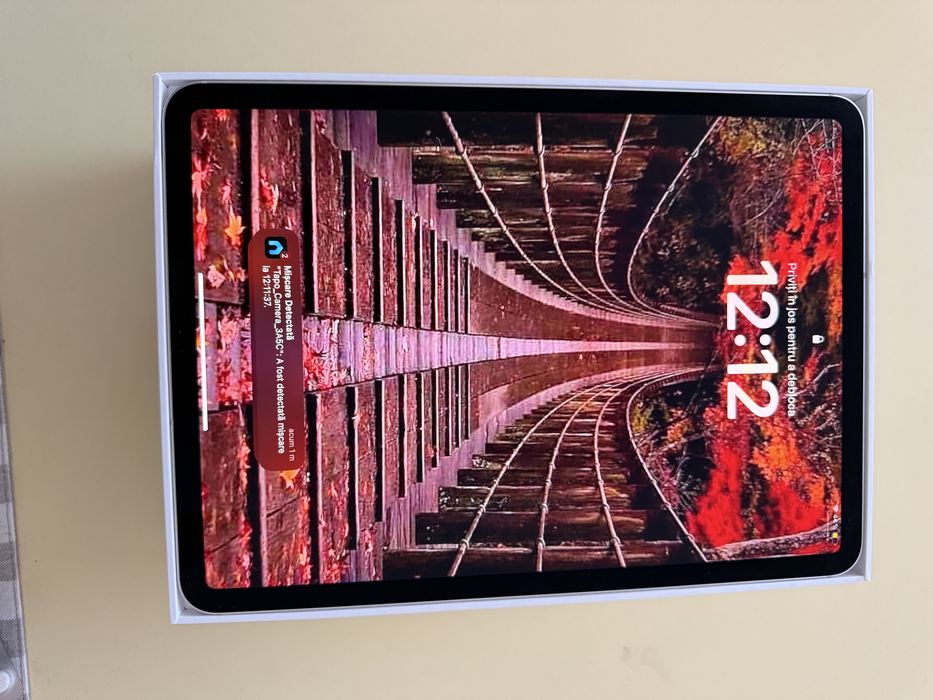 Ipad Pro (11-inch)  wifi+cellular