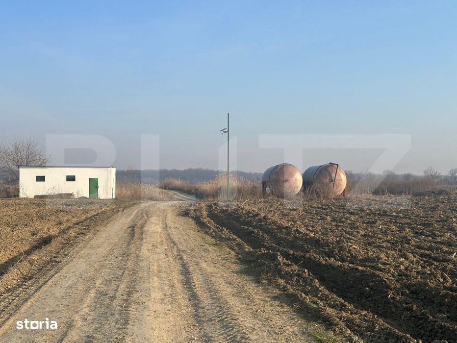 Ferma de nuci - teren agricol, zona Ivesti
