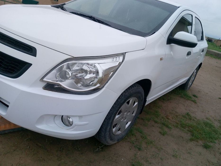 Other Cobalt 2021 — 3