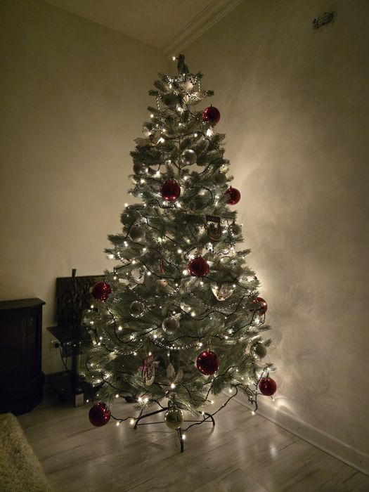 Новогодняя голубая ель