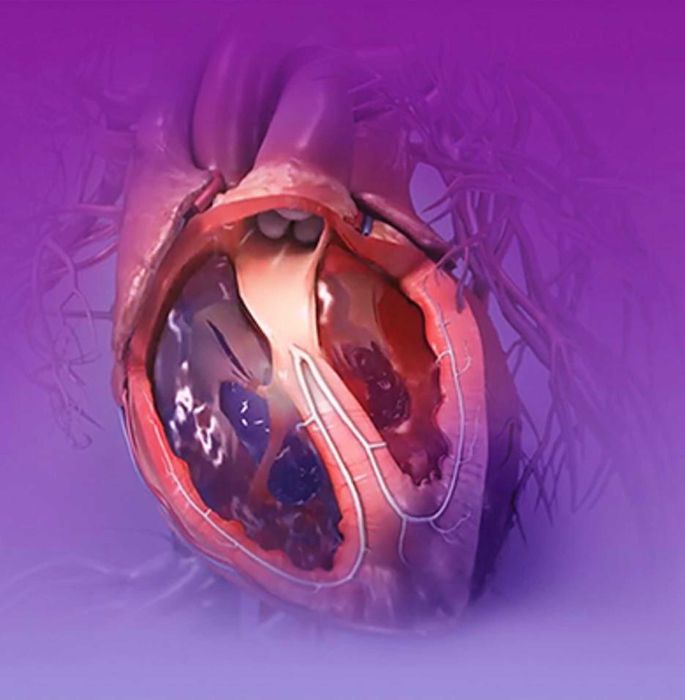 Meditații Biologie Admitere Medicină + Bacalaureat
