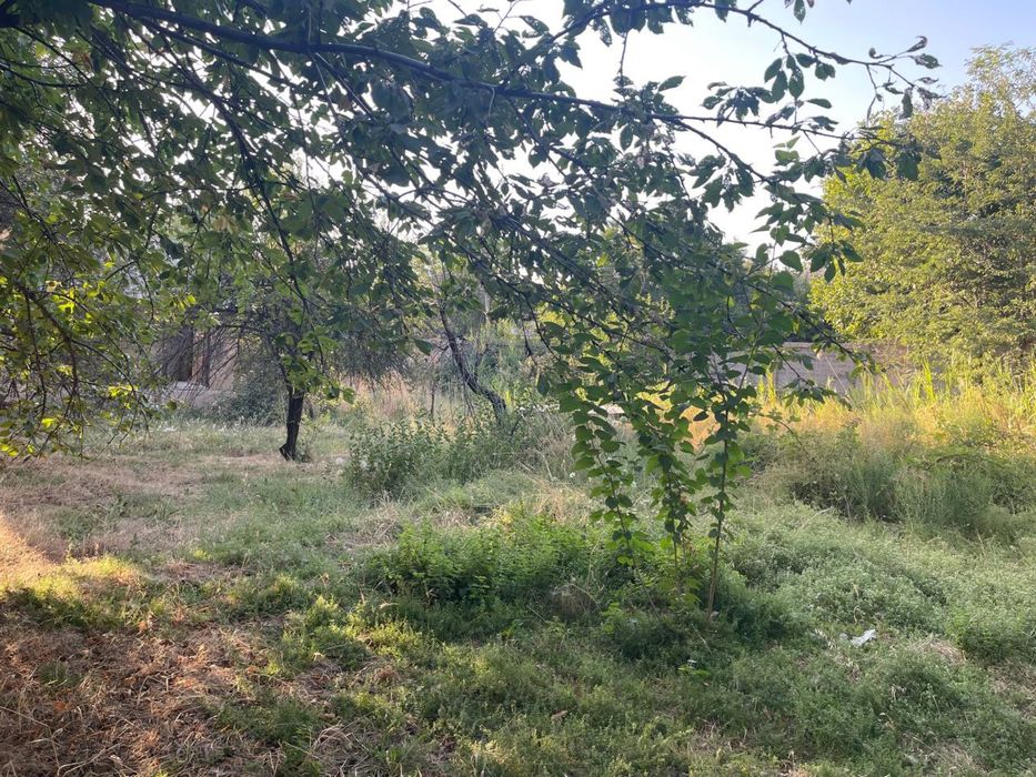dacha ijaraga arenda