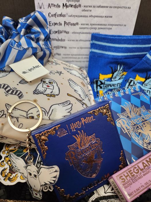 Дом Рейвънклоу - Хари Потър