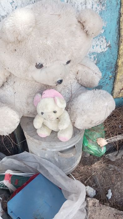 Бепул нарсалар срочно