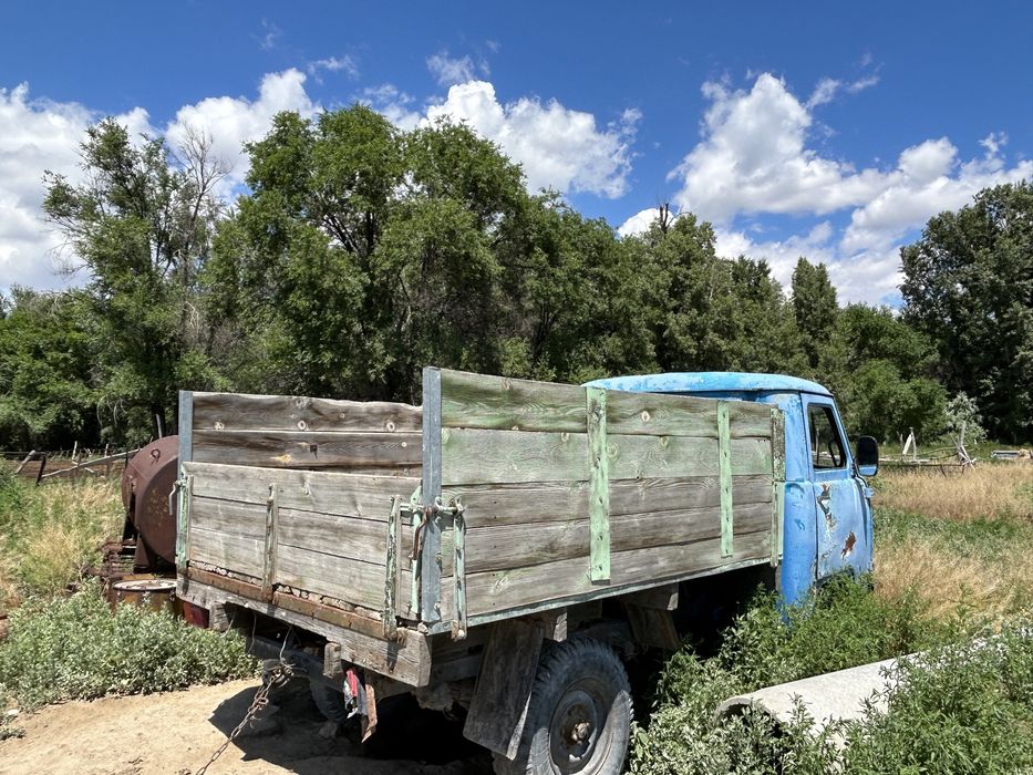 Вазик головастик