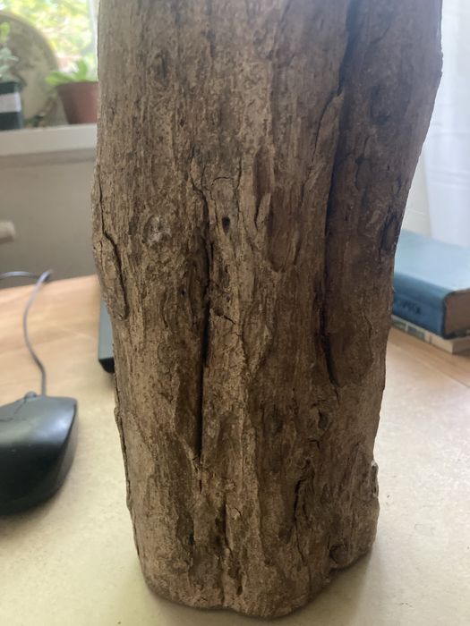 Абанос Африка Дърво