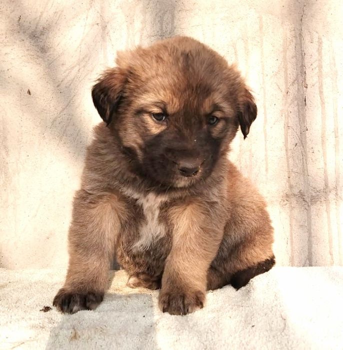 Добрые люди отзовитесь