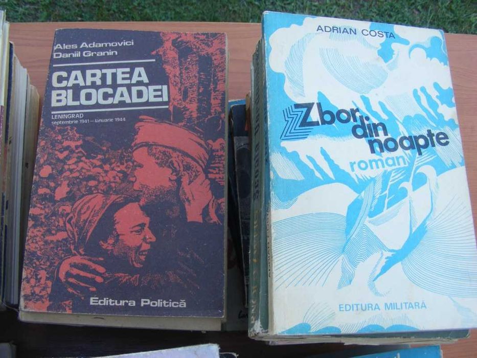 Lot carti interesante la 1 leu bucata