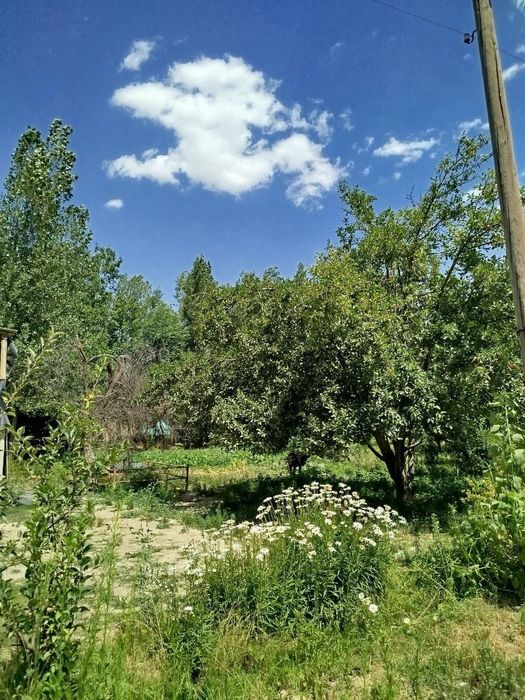 Uchaskai vremenkasi va boği bilan