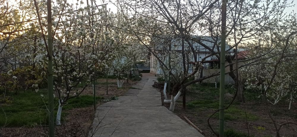 Срочно продается дом. Нижний Комсомольск.