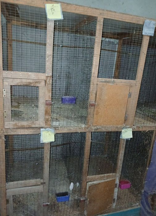 Куш катаклар сотилади